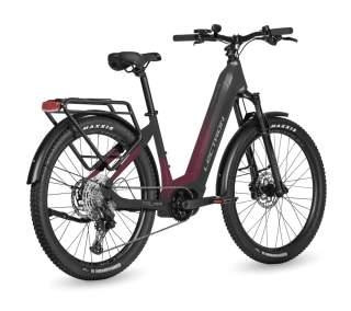 Elektrobicykel Lectron Taura PS 19" (800Wh)
